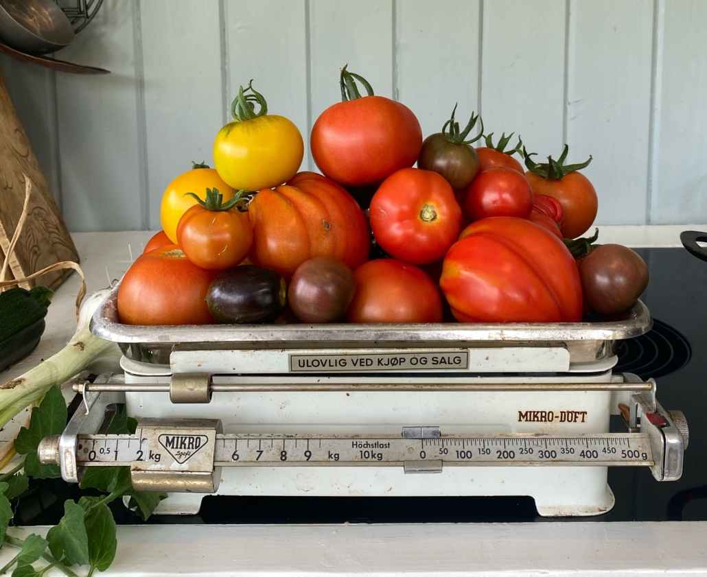 bruk av matrester illustrert med 2 kilo tomater